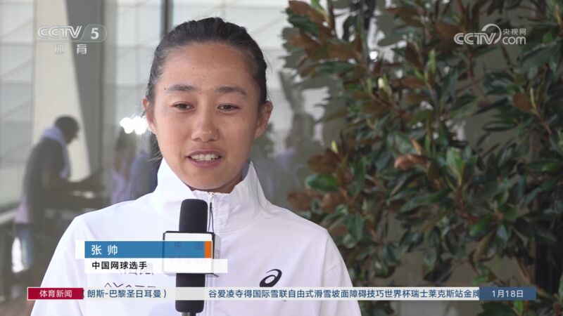 或许能为延