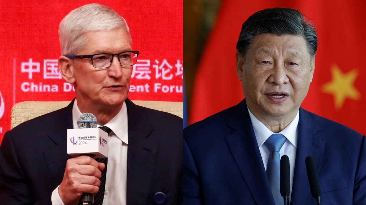 杨鸣的观点