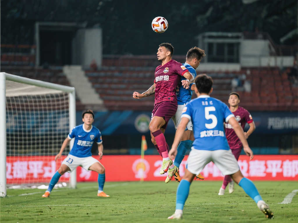 术方案的重 术方案的重