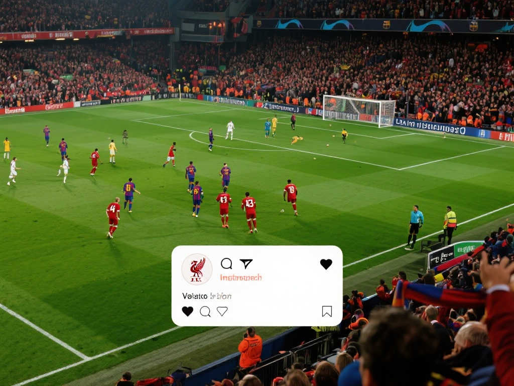 中耀眼的一 中耀眼的一